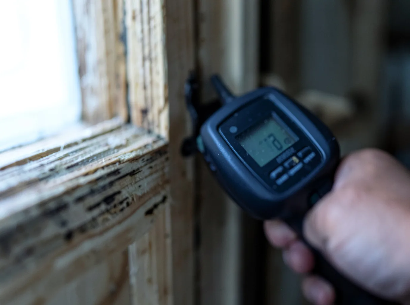 Moisture Inspection And Documentation in Hensel, ND